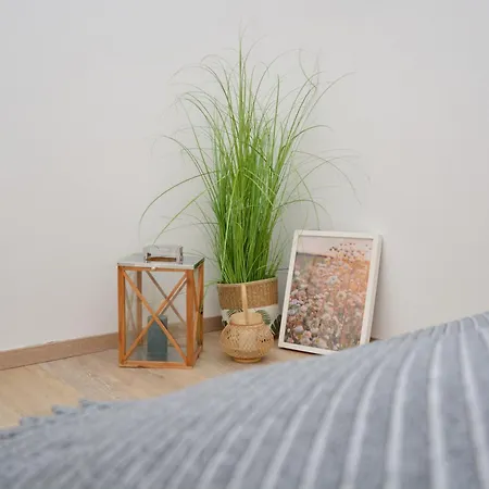 For Companies In Apartment